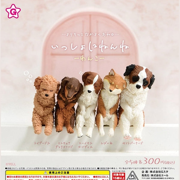 https://makeshop-multi-images.akamaized.net/fumuopon/itemimages/000000008382_zuLGhbG.jpg